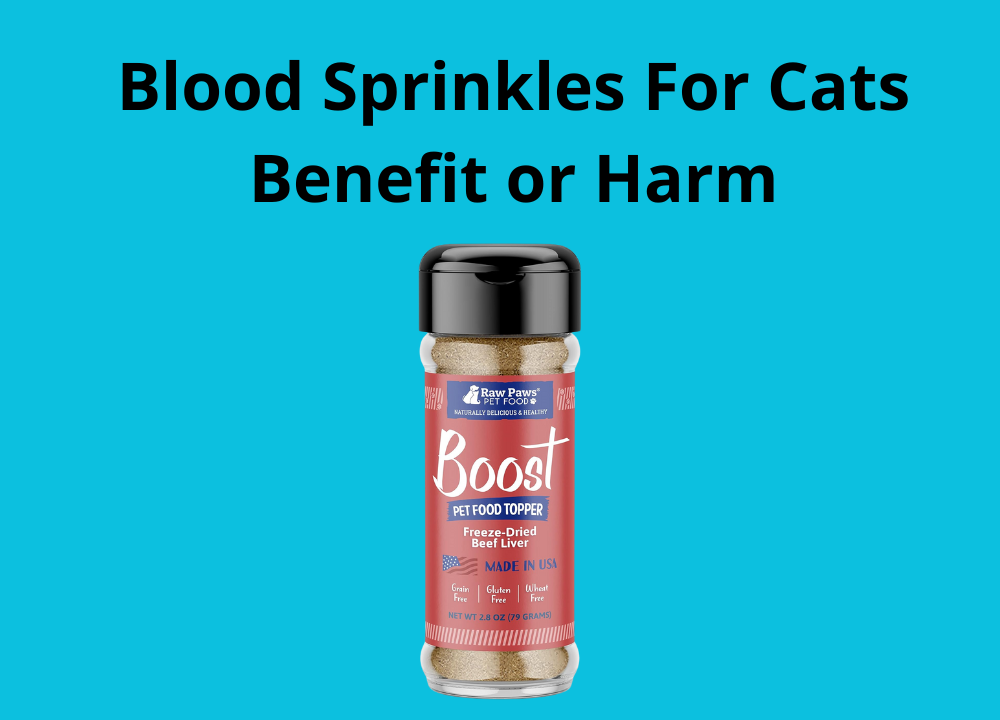 Blood Sprinkles For Cats Benefit or Harm photo