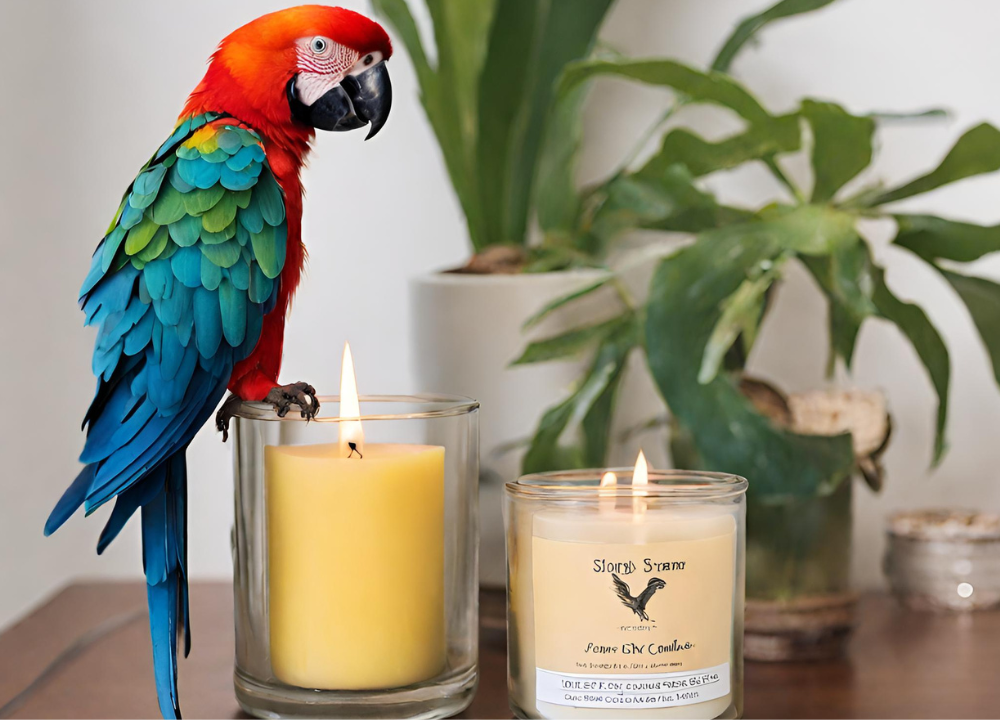 Parrot looks at Soy Candles